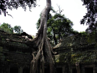 Tour Specialists of Cambodia siem reap tour