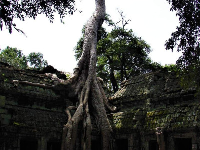 Photo from Rithy BOK siem reap tour