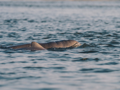 Photo from Rithy BOK