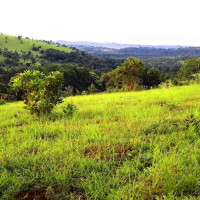 Photo from Rithy BOK