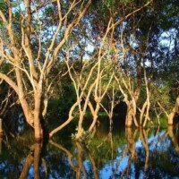 Spécialistes des circuits au Cambodge
