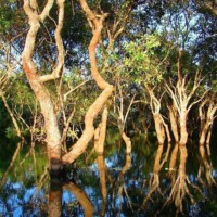 Spécialistes des circuits au Cambodge
