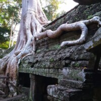 Spécialistes des circuits au Cambodge