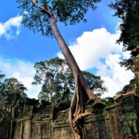 Spécialistes des circuits au Cambodge