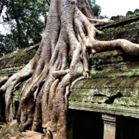 Spécialistes des circuits au Cambodge