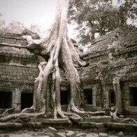 Spécialistes des circuits au Cambodge