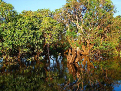 Photo from Rithy BOK siem reap tour
