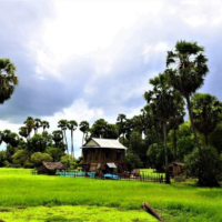 Spécialistes des circuits au Cambodge