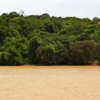 TSC Cambodia jungle canopy Cambodian jungle canopy near the Cardamom region