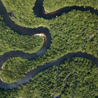 TSC Cardamom Mountains Cambodia Cardamom Mountains, Cambodia — highland forest ridges