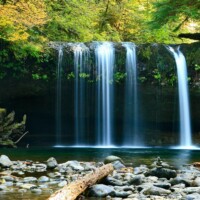 TSC Cardamom river Tropical river through forest for Chi Phat soft adventure